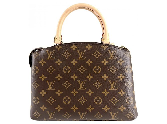 Borsa Louis Vuitton Petit Palais PM da donna Marrone - vista 2