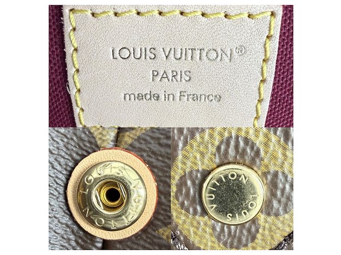 Borsa Louis Vuitton Petit Palais PM da donna Marrone - vista 5