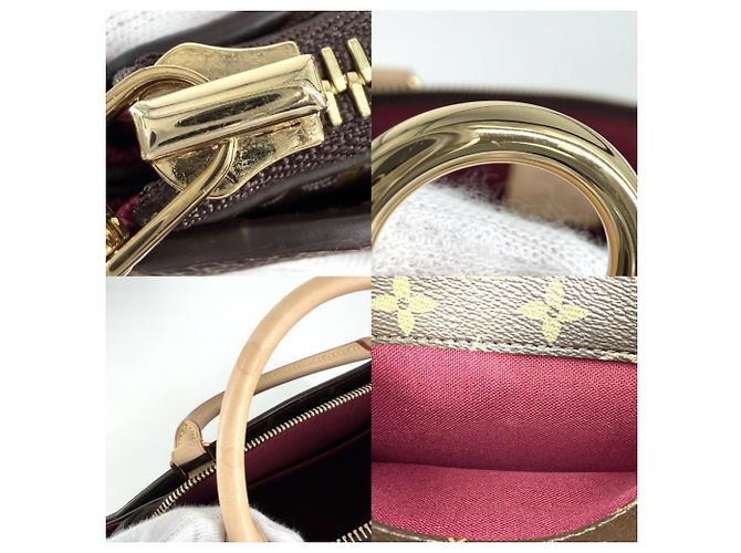 Borsa Louis Vuitton Petit Palais PM da donna Marrone - vista 6