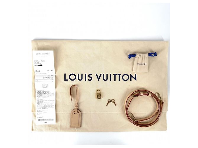 Borsa Louis Vuitton Petit Palais PM da donna Marrone - vista 8