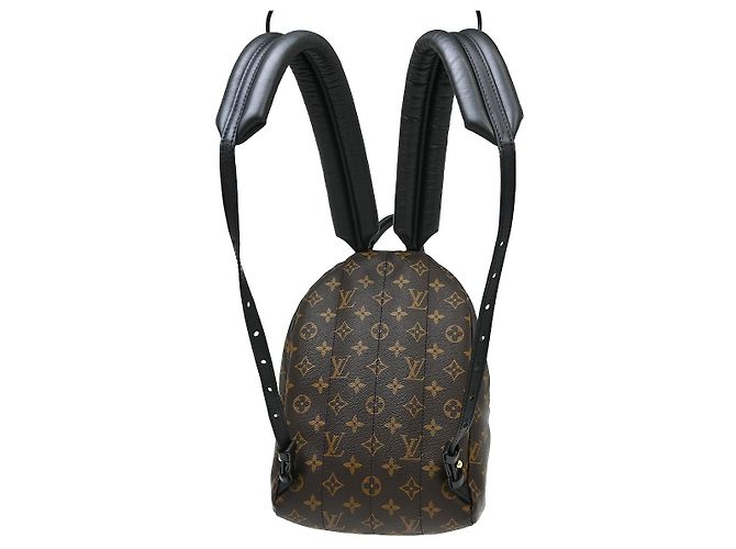 Louis Vuitton Palm Springs Monogram PM Marrone - vista 2