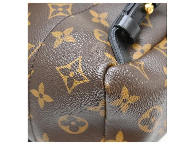 Louis Vuitton Palm Springs Monogram PM Marrone - vista 6