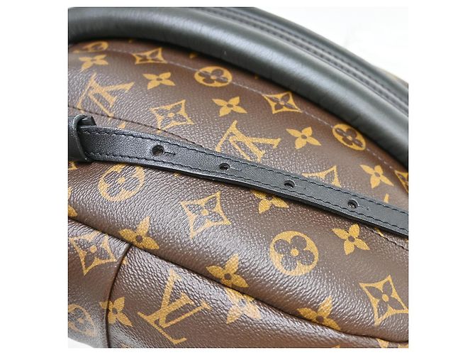 Louis Vuitton Palm Springs Monogram PM Marrone - vista 7
