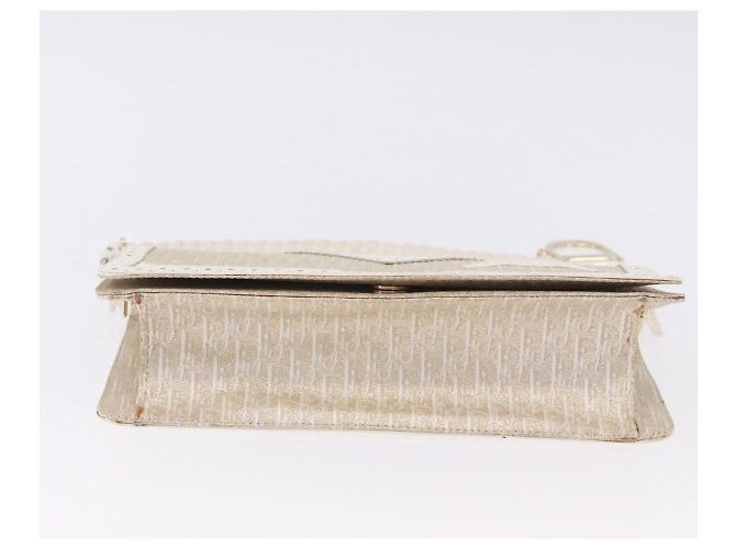 Borsa a mano Christian Dior Trotter Canvas Gold Auth 197782SAM D'oro - vista 6