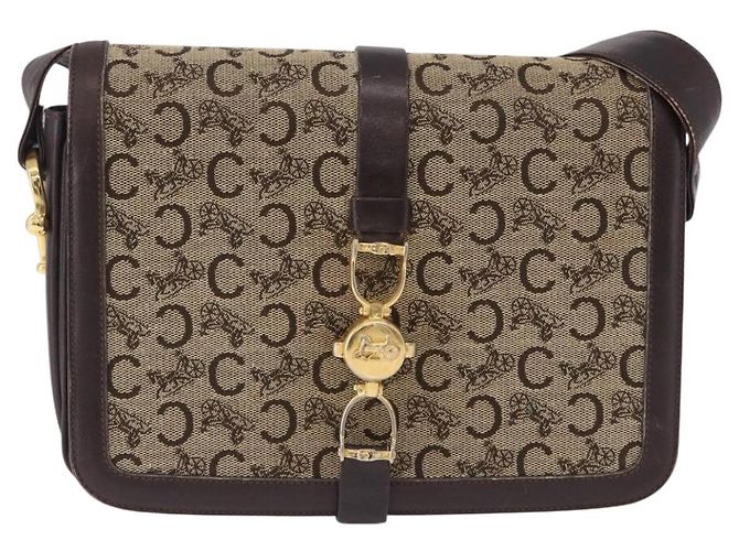 Céline Borsa a tracolla CELINE C Saluki Canvas Beige Gold Tone Auth ep15812 - vista 13