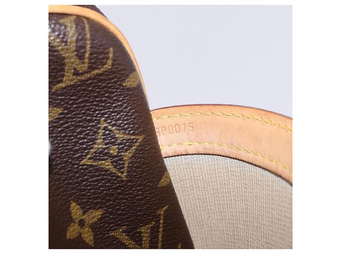 Borsa a tracolla LOUIS VUITTON Monogram Reporter PM M45254 LV Auth fm5446A Monogramma - vista 12