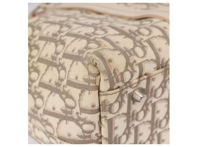 Borsa a mano Christian Dior Trotter Canvas Floral Ivory Silver Auth am12468 Argento Crudo - vista 14