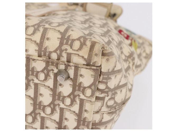 Borsa a mano Christian Dior Trotter Canvas Floral Ivory Silver Auth am12468 Argento Crudo - vista 15