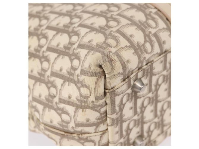 Borsa a mano Christian Dior Trotter Canvas Floral Ivory Silver Auth am12468 Argento Crudo - vista 16