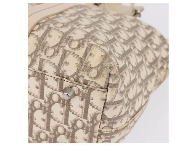 Borsa a mano Christian Dior Trotter Canvas Floral Ivory Silver Auth am12468 Argento Crudo - vista 17