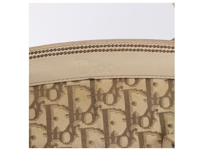 Borsa a mano Christian Dior Trotter Canvas Floral Ivory Silver Auth am12468 Argento Crudo - vista 20
