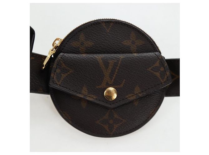 LOUIS VUITTON Monogram Ceinture Daily Waist Bag M0236 LV Auth 199062M Monogramma - vista 19