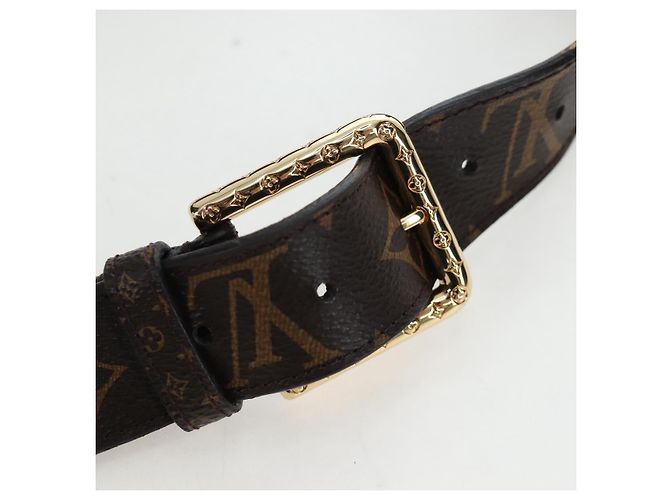 LOUIS VUITTON Monogram Ceinture Daily Waist Bag M0236 LV Auth 199062M Monogramma - vista 30