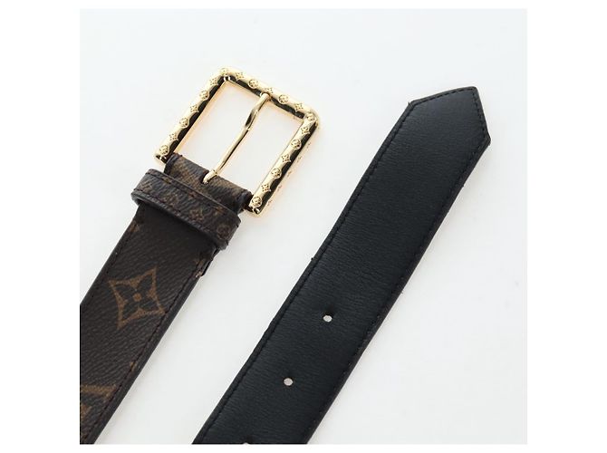 LOUIS VUITTON Monogram Ceinture Daily Waist Bag M0236 LV Auth 199062M Monogramma - vista 32