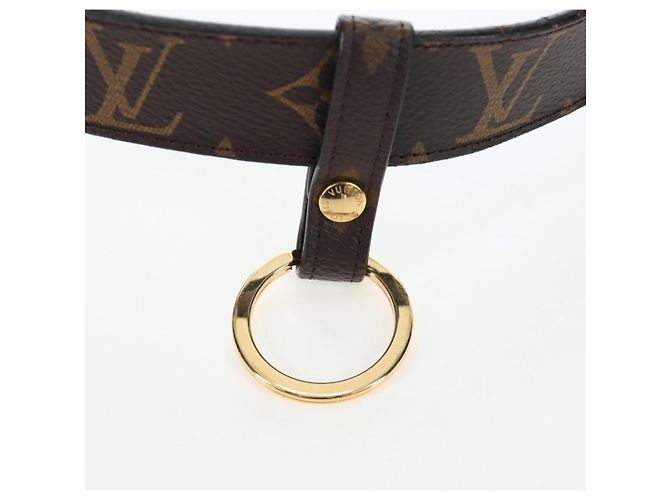 LOUIS VUITTON Monogram Ceinture Daily Waist Bag M0236 LV Auth 199062M Monogramma - vista 4