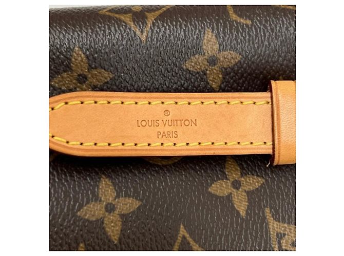 Borsa Tote Louis Vuitton Voltaire Marrone - vista 7