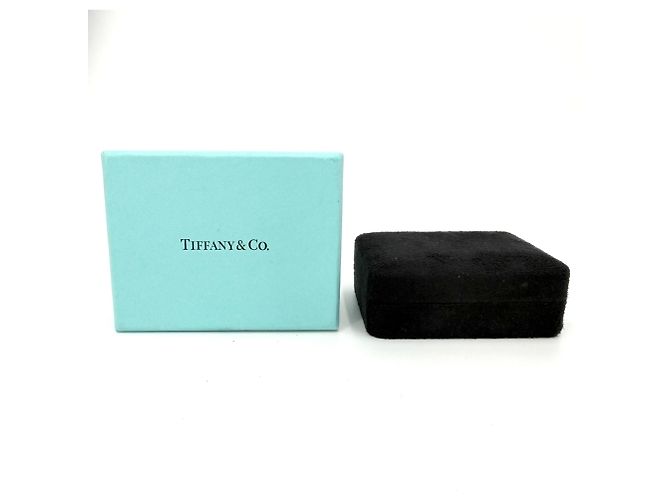 Orecchini Tiffany & Co. By the Yard - vista 6