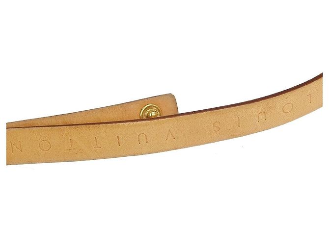 Louis Vuitton Florentine Canvas Medium Marrone - vista 6