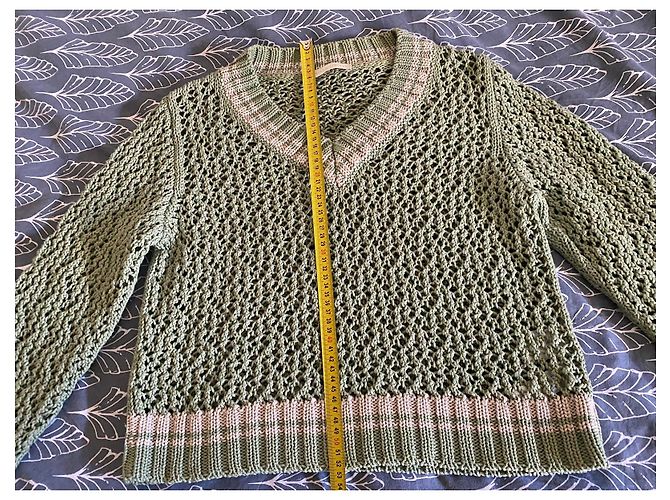 Fabiana Filippi Baumwollpullover in Grün und Beige - Ansicht 4