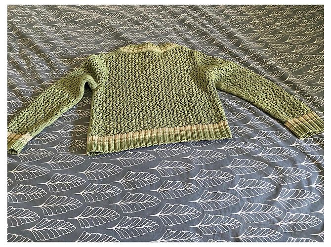 Fabiana Filippi Baumwollpullover in Grün und Beige - Ansicht 6