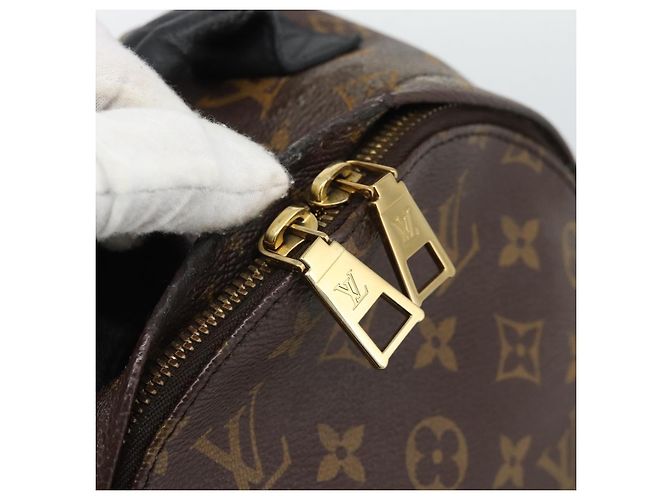 LOUIS VUITTON Monogram Palm Springs PM Backpack M43116 LV - vista 21