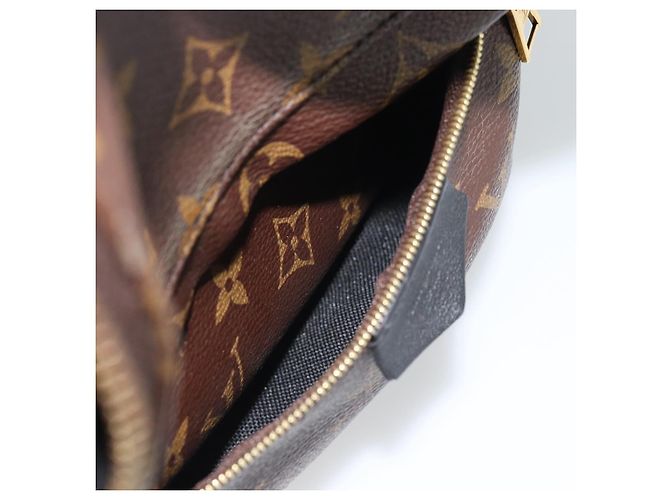 LOUIS VUITTON Monogram Palm Springs PM Backpack M43116 LV - vista 26