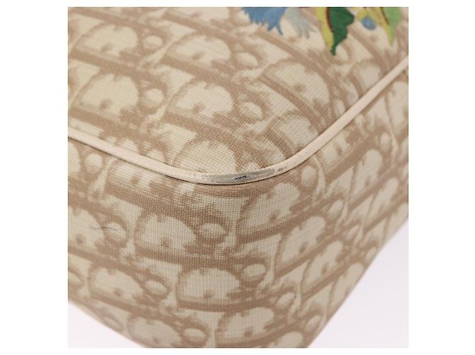 Christian Dior Trotter Canvas Shoulder Bag PVC Beige Silver - vista 10