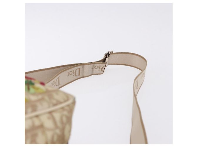 Christian Dior Trotter Canvas Shoulder Bag PVC Beige Silver - vista 8