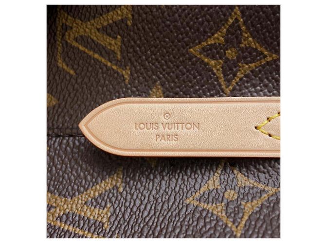 Néonoé Louis Vuitton Brown Monogram Neonoe BB Marrone - vista 5
