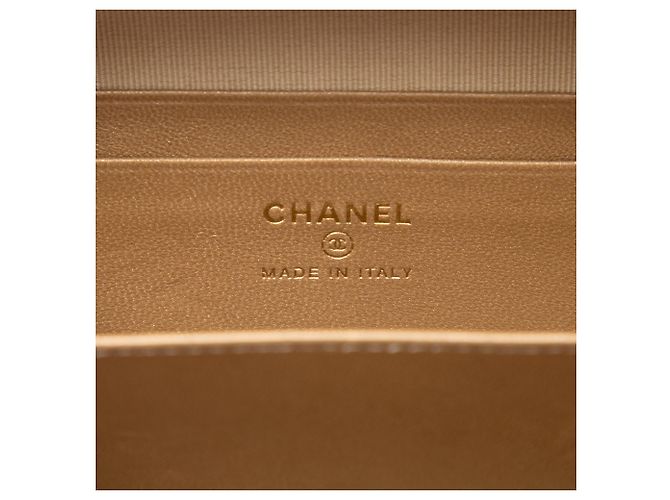 Borsa Camera Chanel Pink CC Quilted Lambskin Pearl Crush Rosa - vista 5