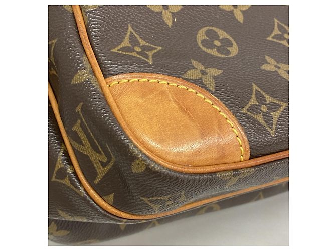 Borsa a tracolla Nile Monogram Louis Vuitton Marrone - vista 6