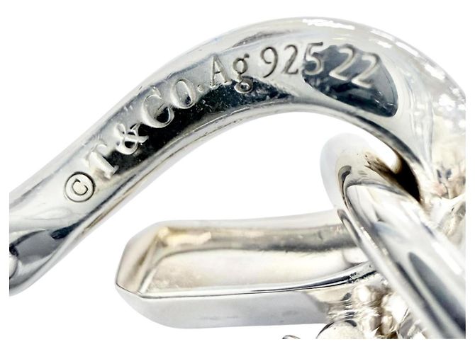 Tiffany & Co Orecchini a lobo Tiffany Forge Drop Link in argento - vista 5