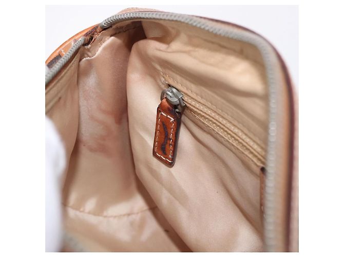 Borsa a mano Christian Dior Trotter Canvas Romantic PVC Marrone Argento Auth 195408SAV - vista 22