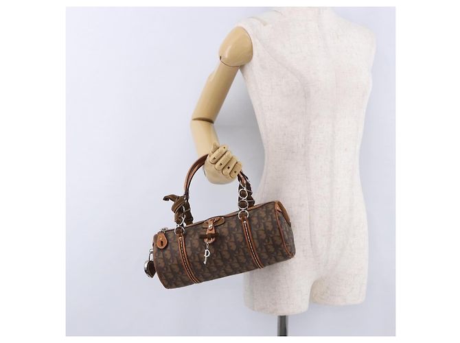Borsa a mano Christian Dior Trotter Canvas Romantic PVC Marrone Argento Auth 195408SAV - vista 24