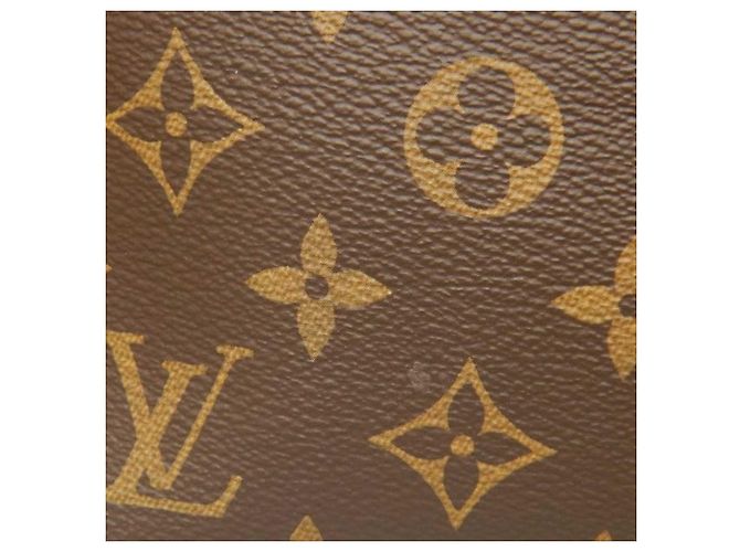 Louis Vuitton Brown Monogram Tournelle PM Marrone - vista 13