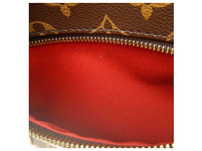 Louis Vuitton Brown Monogram Tournelle PM Marrone - vista 6