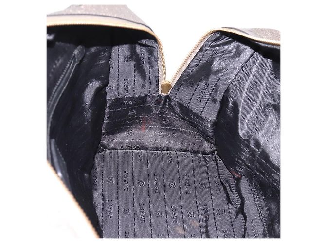 Borsa a mano LOEWE Amazona 36 in pelle Oro Argento Auth 200941 D'oro - vista 21