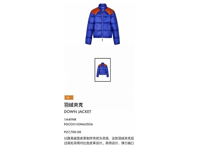 Louis Vuitton Daunenjacke Lammleder Patchwork Polyamid 38 Mehrfarben - Ansicht 8