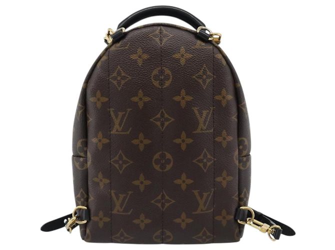LOUIS VUITTON Monogram World Tour Palm Springs MINI Backpack M42971 - vista 2