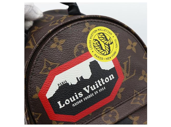 LOUIS VUITTON Monogram World Tour Palm Springs MINI Backpack M42971 - vista 20