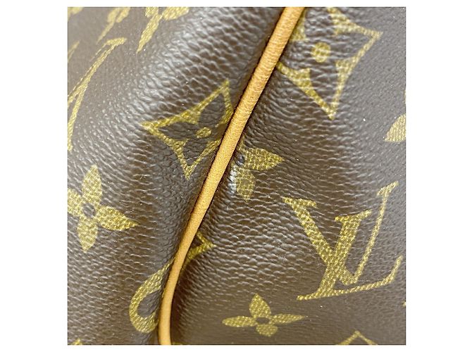 Louis Vuitton Boston Monogram Keepall 55 Marrone - vista 10