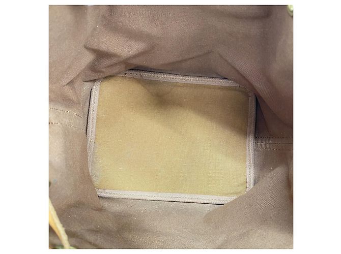 Noe Borsa a tracolla Louis Vuitton Monogram Petit Noé Marrone - vista 4