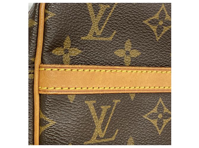 Borsa a tracolla Louis Vuitton Monogram Danube Marrone - vista 7