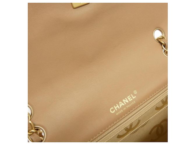 Borsa a tracolla Chanel Wild Stitch Line 14687 Beige - vista 10