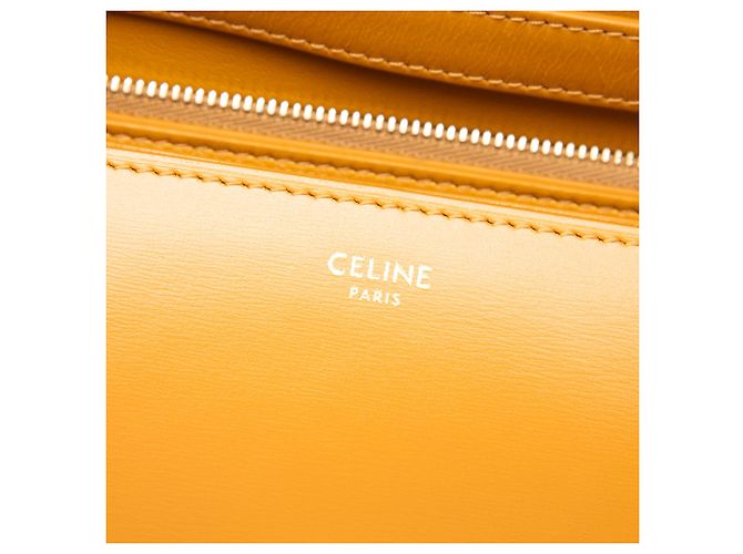 Céline Celine Brown Medium Calfskin Classic Box Marrone Caramello - vista 5