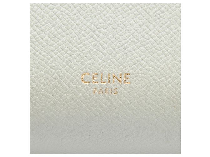 Belt Bag Céline Celine Bolsa Cinto Nano em Pele de Bezerro Grão Cinza Marrom - vista 5