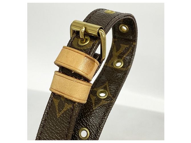 Borsa a tracolla Nile Monogram Louis Vuitton Marrone - vista 9