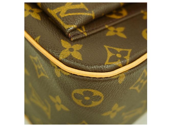 Borsa Louis Vuitton Monogram Excentricite Marrone - vista 10