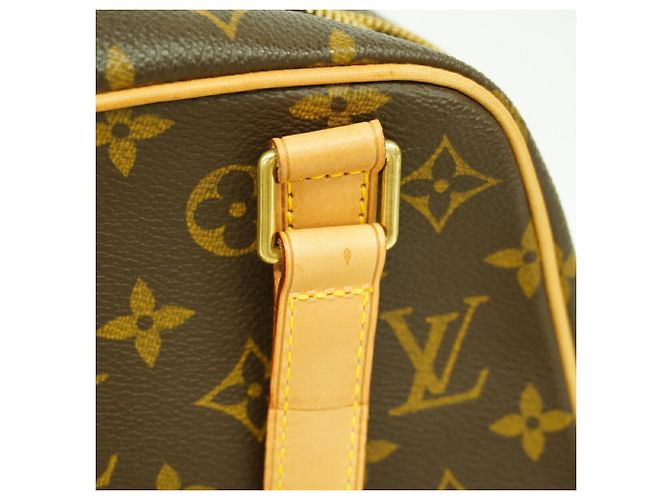 Borsa Louis Vuitton Monogram Excentricite Marrone - vista 6