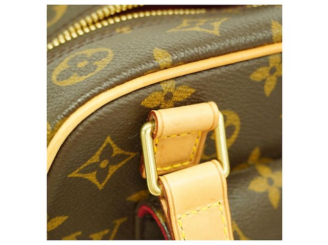 Borsa Louis Vuitton Monogram Excentricite Marrone - vista 9